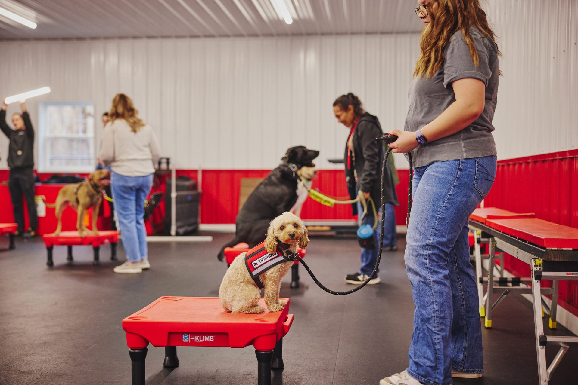 Sit Means Sit Towson trainer with client and dog